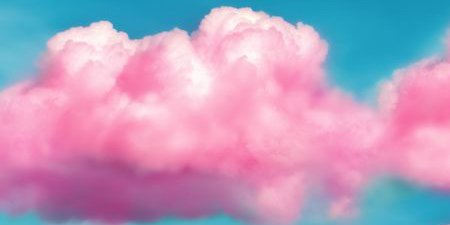 Cwtch's profile banner image