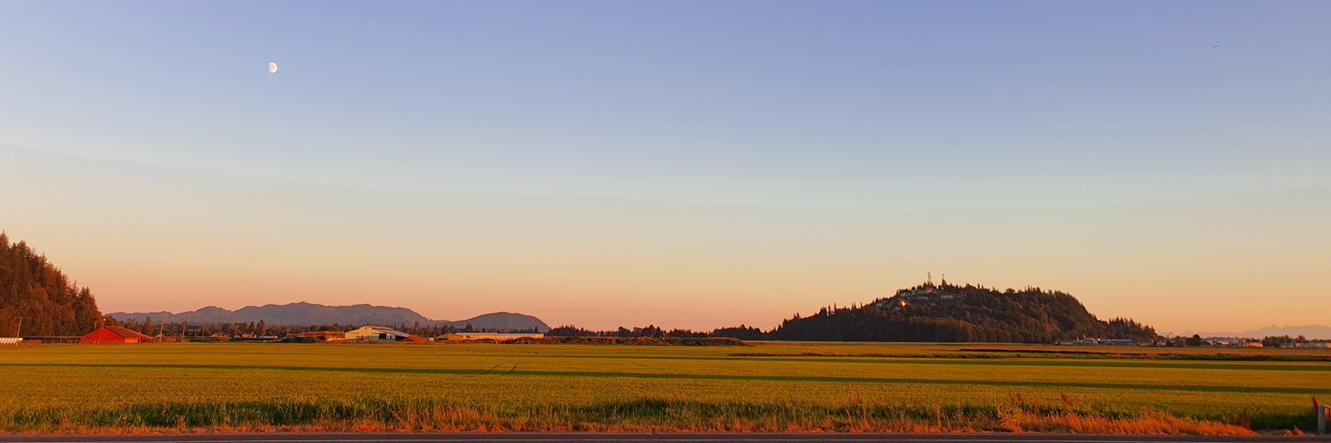 c a r l o s banner