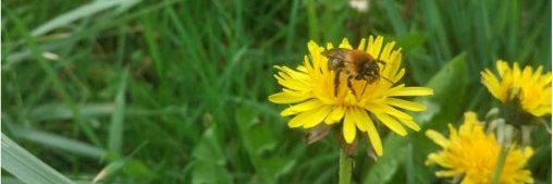 Thomas Perrot banner