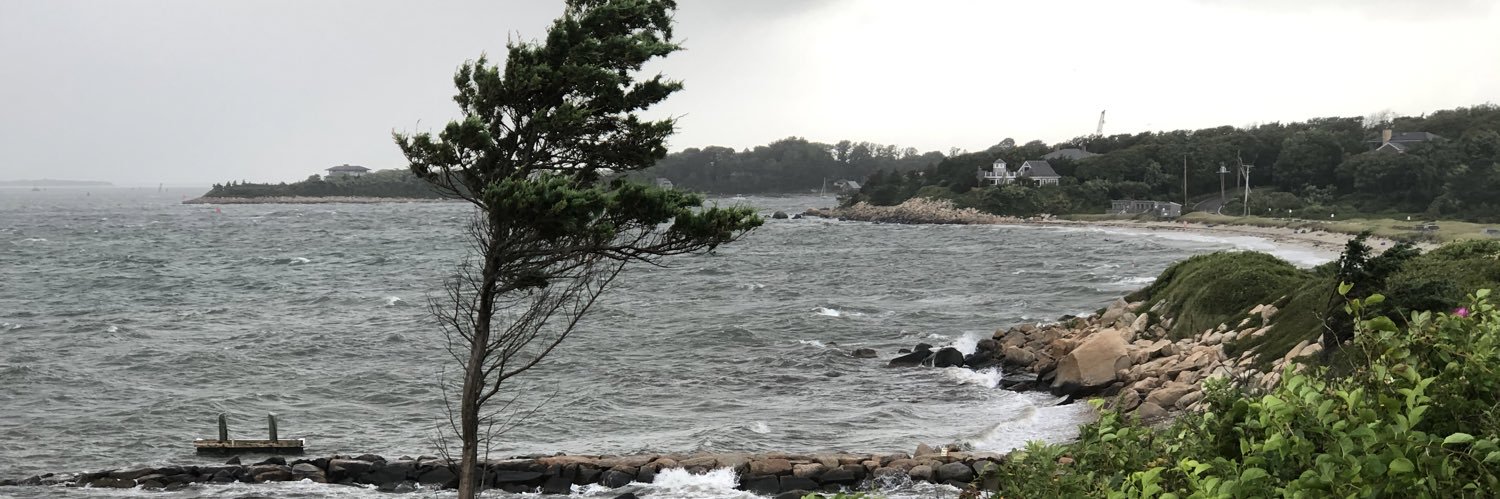 Siobhan Matrose banner