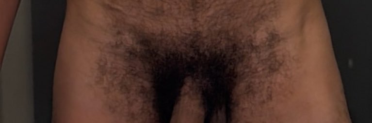 Ed banner