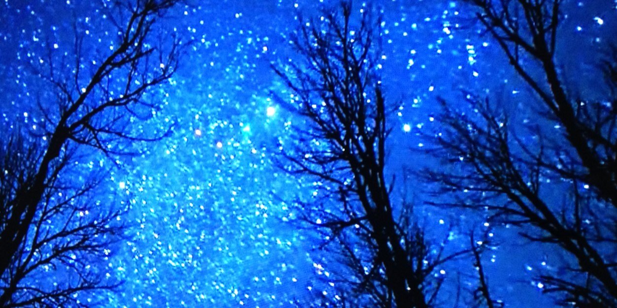 ecosiro's profile banner image