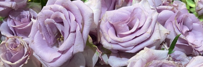 semkanim's profile banner image