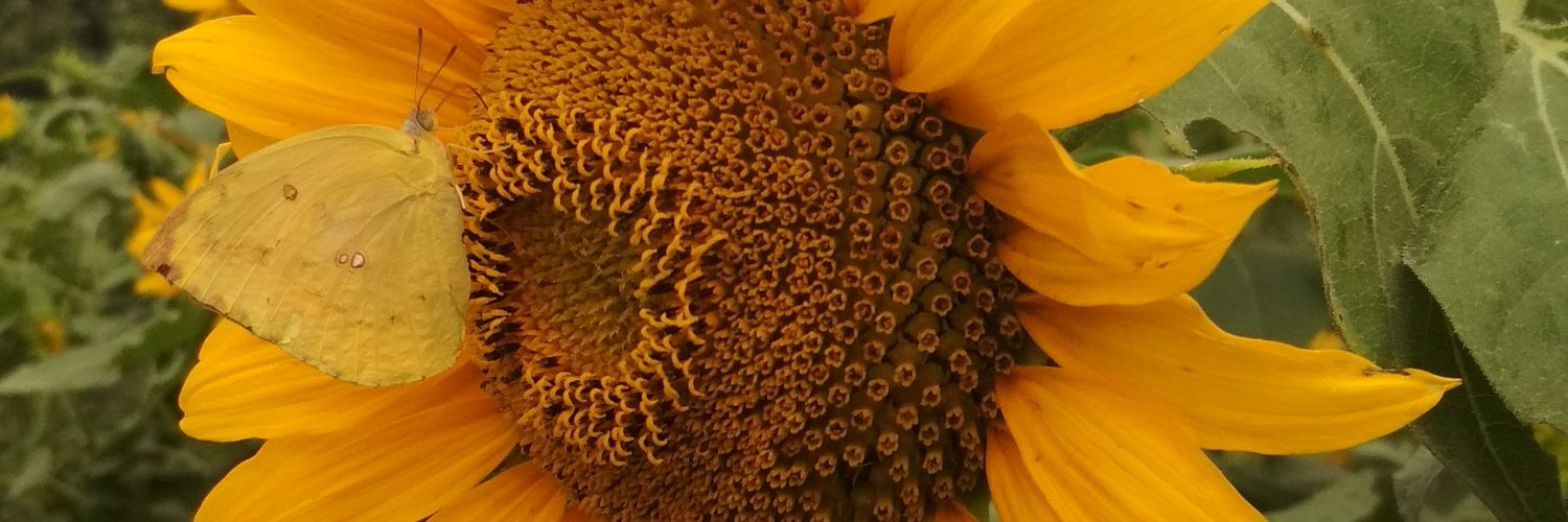 hey_weg's profile banner image