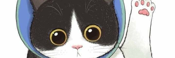dibelcorcim's profile banner image