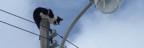 tylerthornley Profile Banner