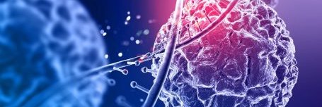 Larissa Brunaldi banner