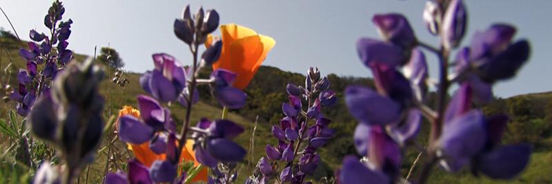 GMallimson's profile banner image