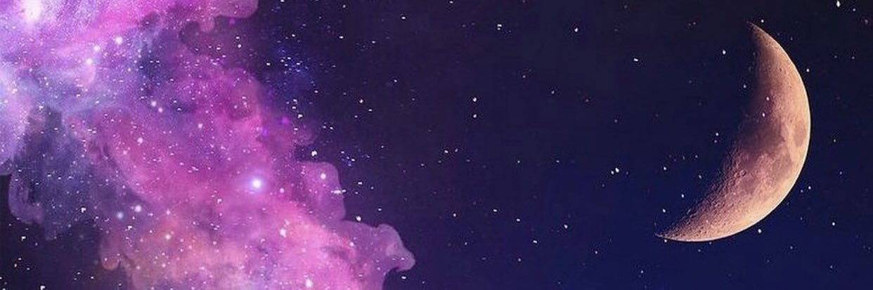 alejandraglex's profile banner image