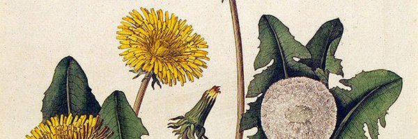 Mirandactl Profile Banner