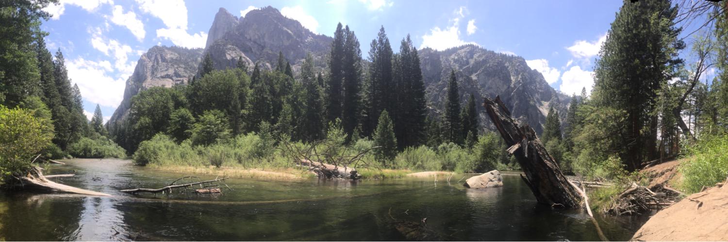 WhitneyGoldie's profile banner image