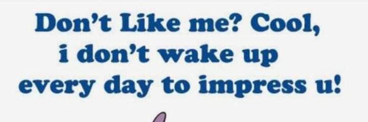 Cryptostocknl (Calvin). banner