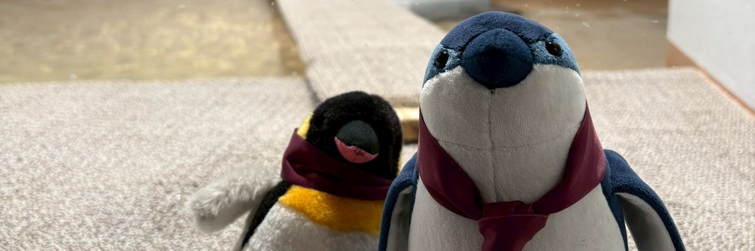 amie_13's profile banner image