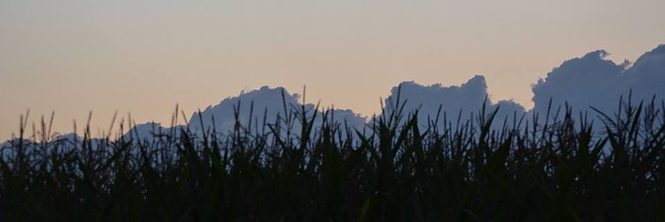 ocsanetzwerk's profile banner image