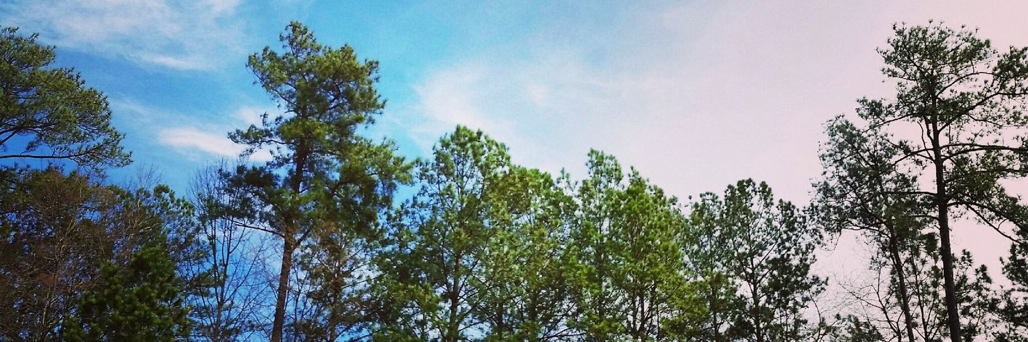 katkathizzle's profile banner image