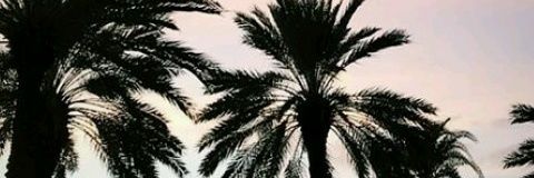 briggitt173's profile banner image