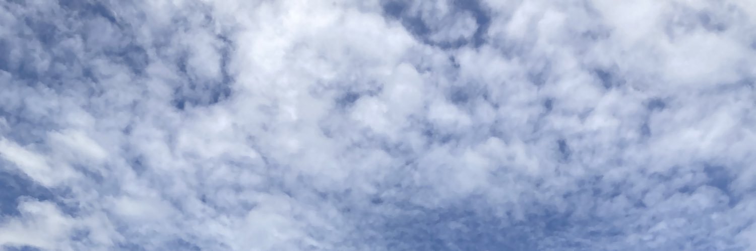 crzjap's profile banner image