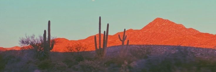 joslyns01's profile banner image
