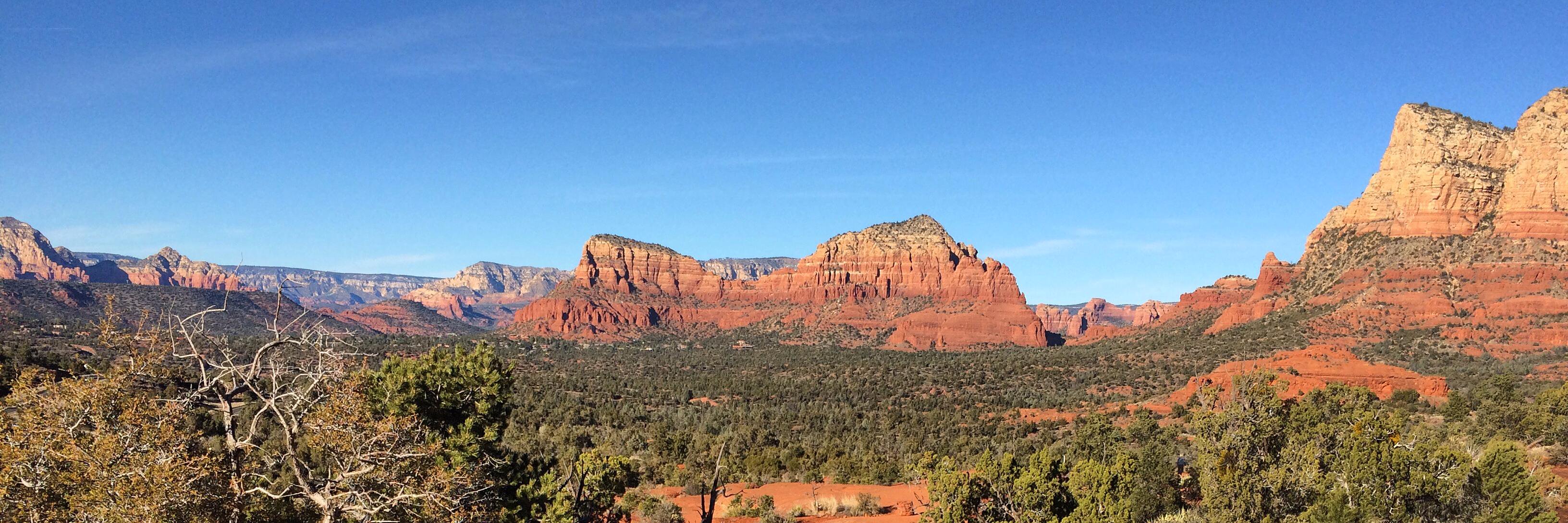 Emily Zawacki, PhD banner