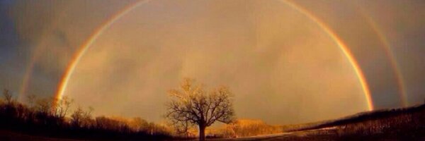 muneyuki_imon Profile Banner