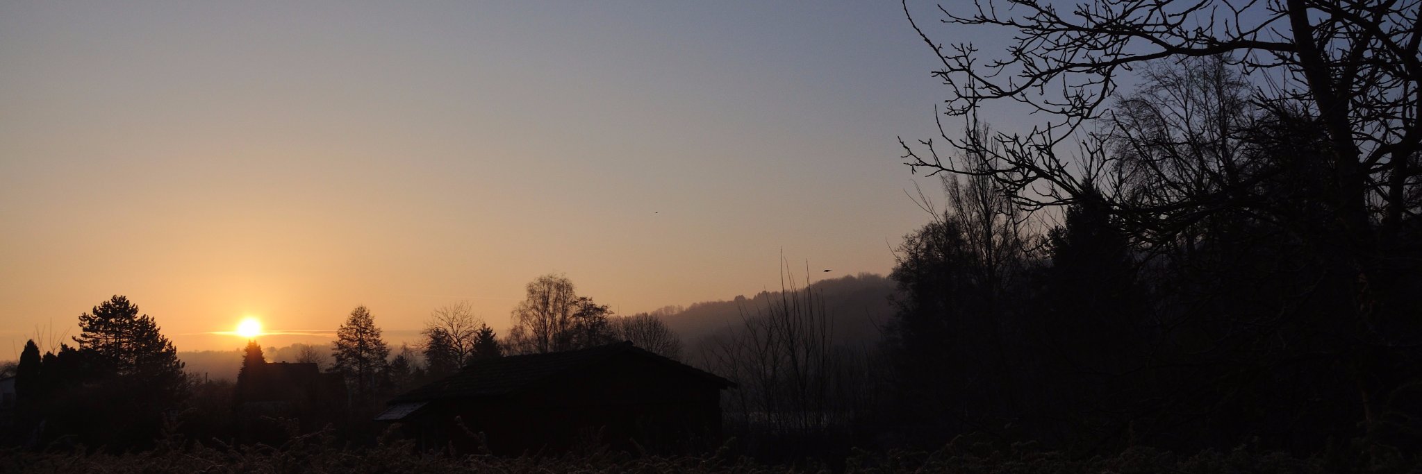 Account abandoned as log as musk is in control banner