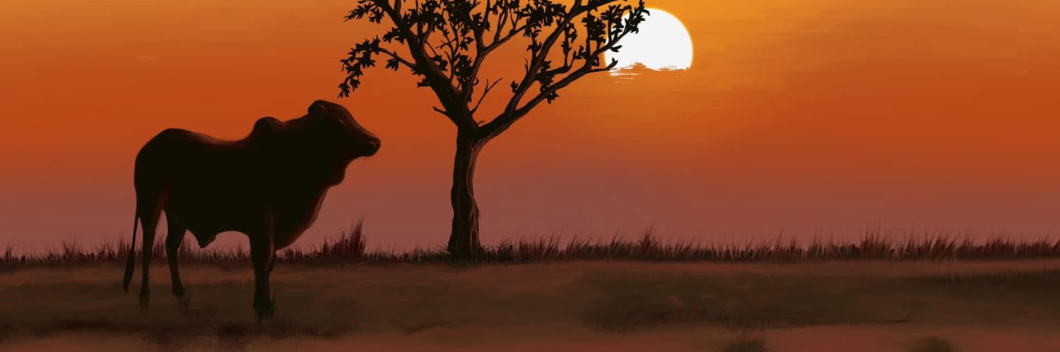 hizzle7's profile banner image