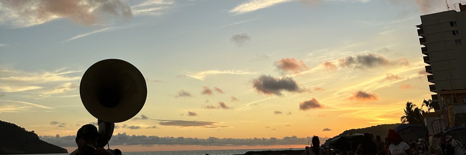 llarelivb's profile banner image