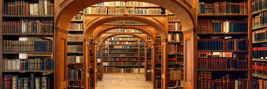 Kelly McCants banner