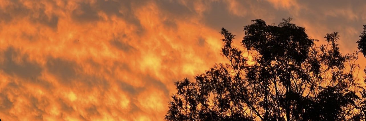 Clariceee_xo's profile banner image