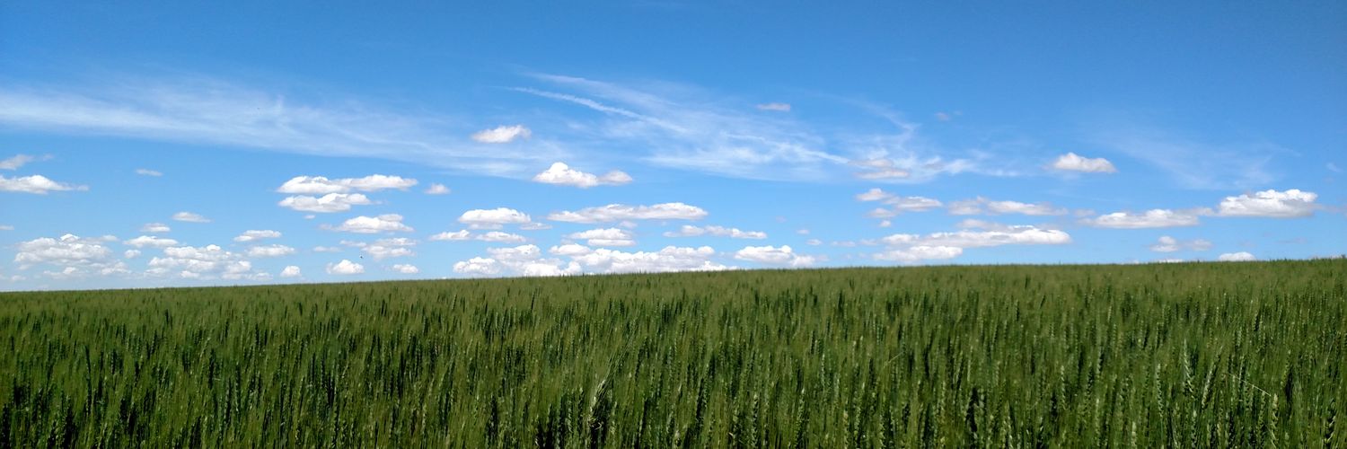 Nikayla Strauss, PhD banner