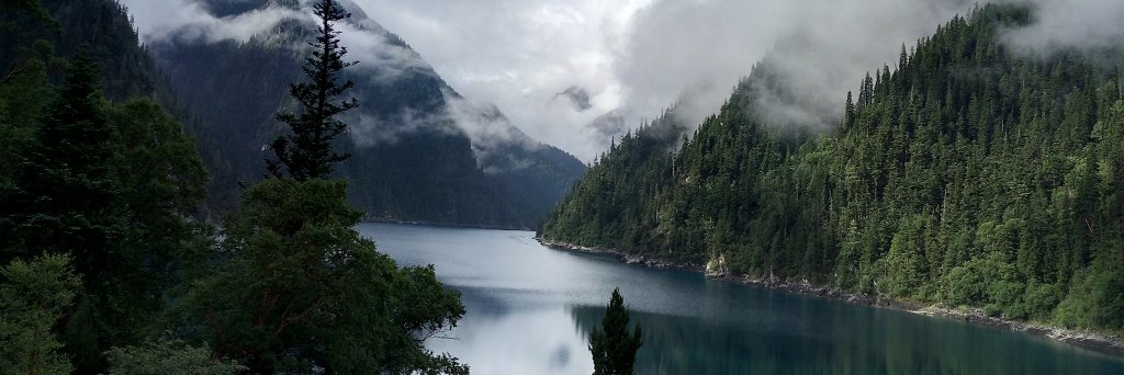 awaisali269's profile banner image