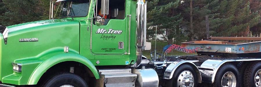Mr Tree Inc banner