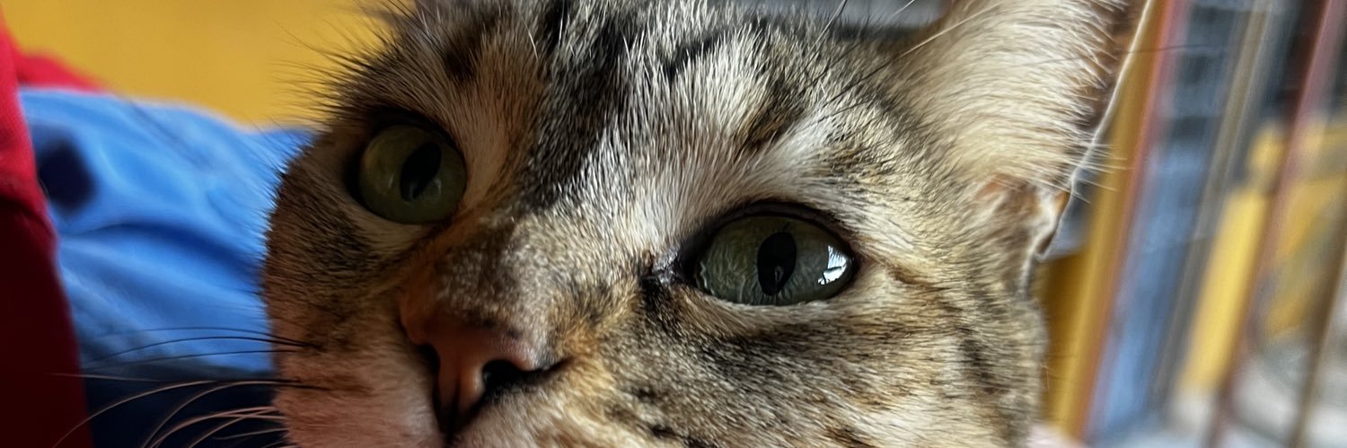 ⚡DaNii⚡ banner