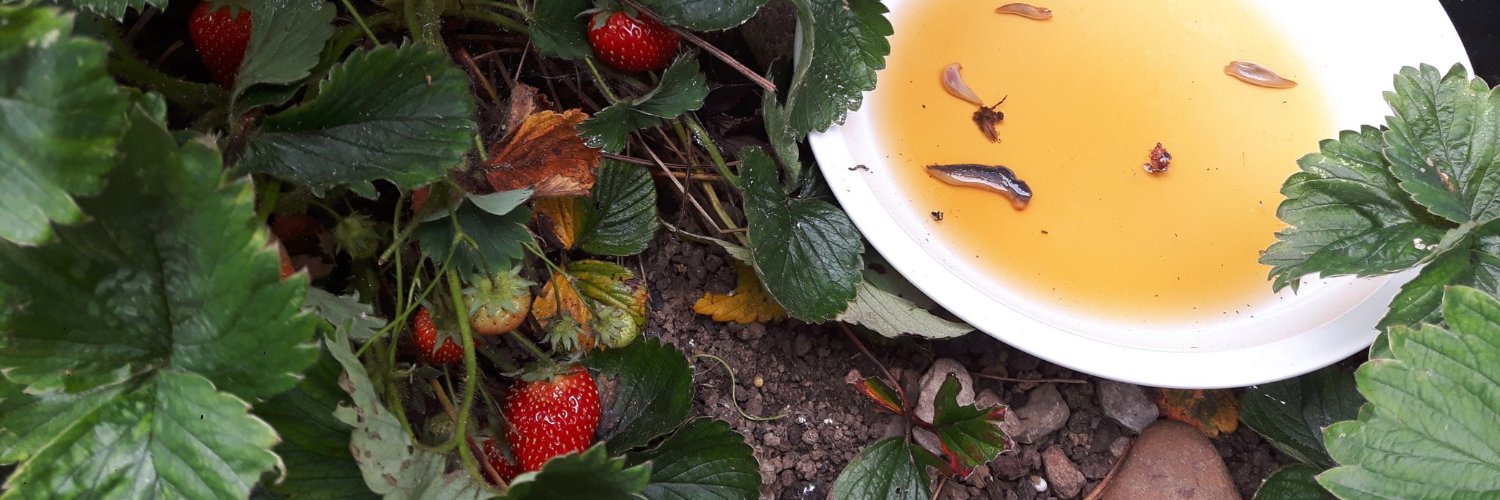 Richard Lubell banner