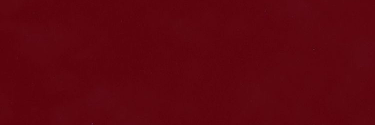 anhedonia banner