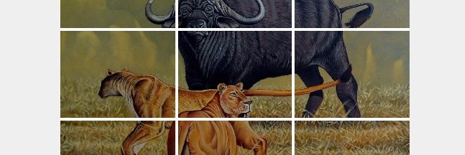 mnjindo's profile banner image