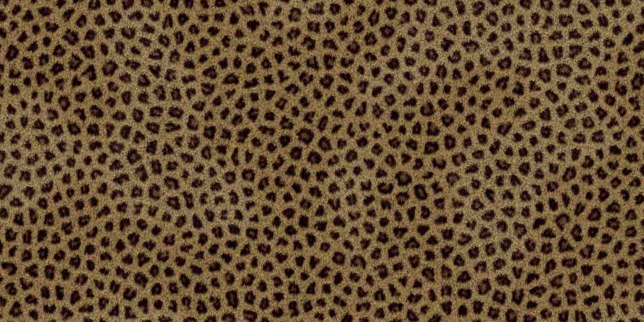 quetro111's profile banner image