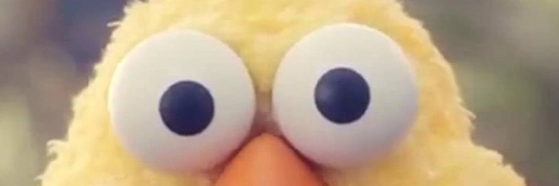 forbidden556's profile banner image