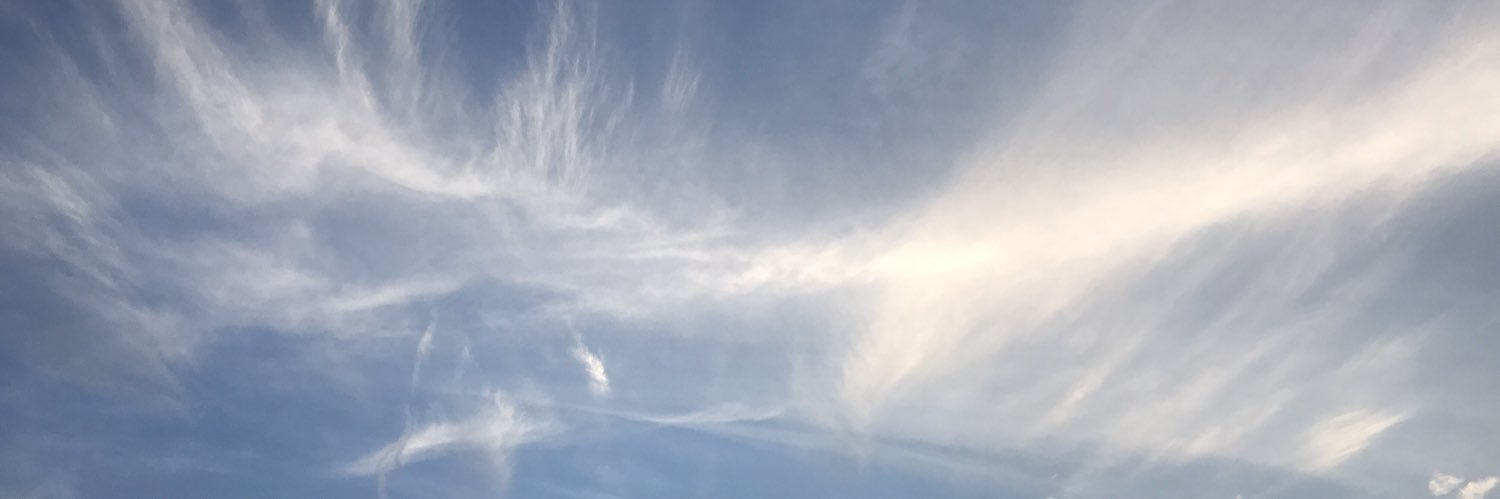 渡邉美佳 banner