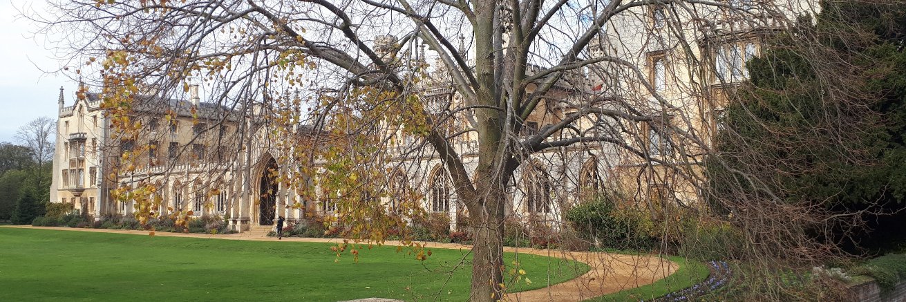 DrSteffiUllmann (she/her) banner