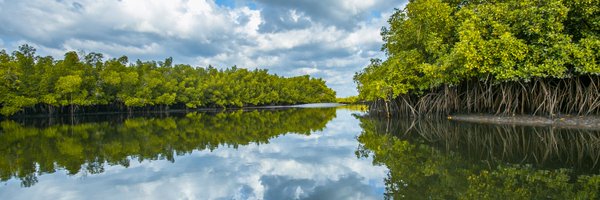 UNESCO_Dakar Profile Banner