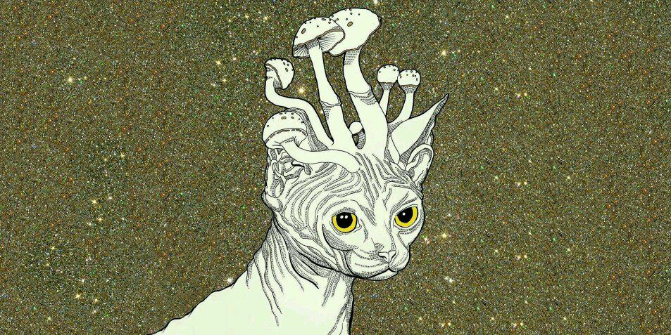 ★YuWanSumLee★ banner