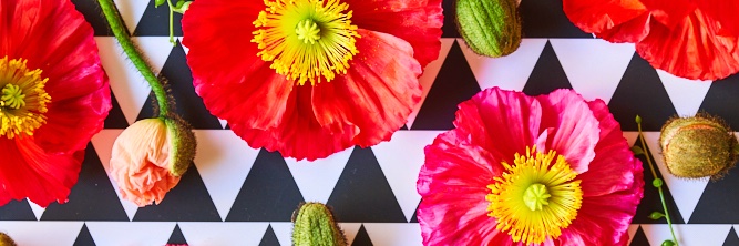 rosiecafe's profile banner image