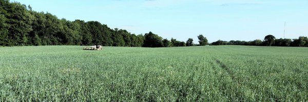 AdamLasch1 Profile Banner