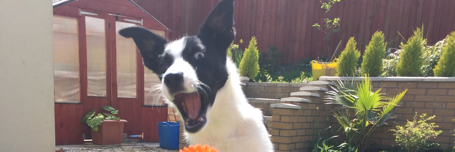 sarmaynard's profile banner image