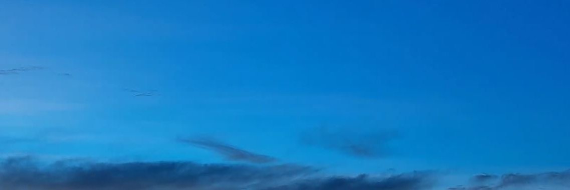 Sevenguest_'s profile banner image