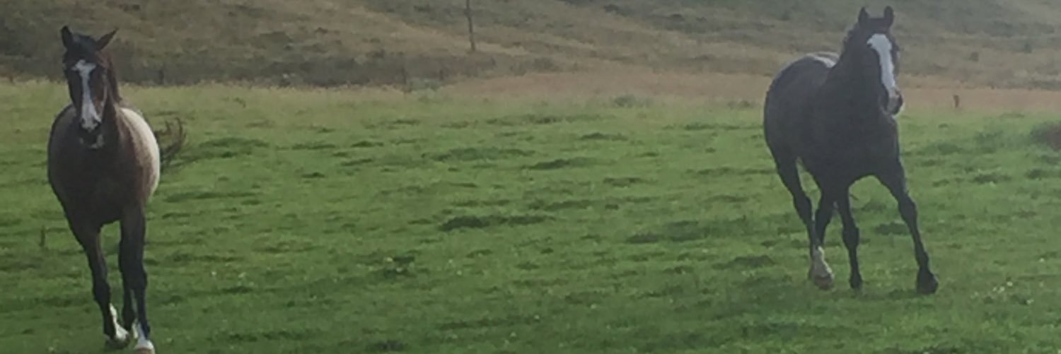 KTcarr_'s profile banner image