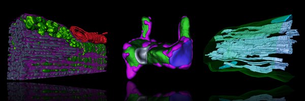 MitoEnergetics Profile Banner