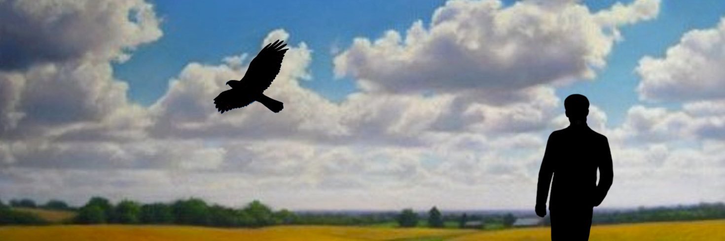 Mason Hawk Writer banner
