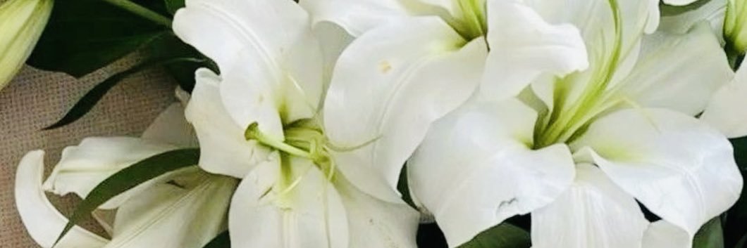 D_Q2013's profile banner image